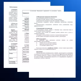 Рабочая программа индивидуальных занятий с репетитором. Повышение успеваемости по русскому языку в 1 классе