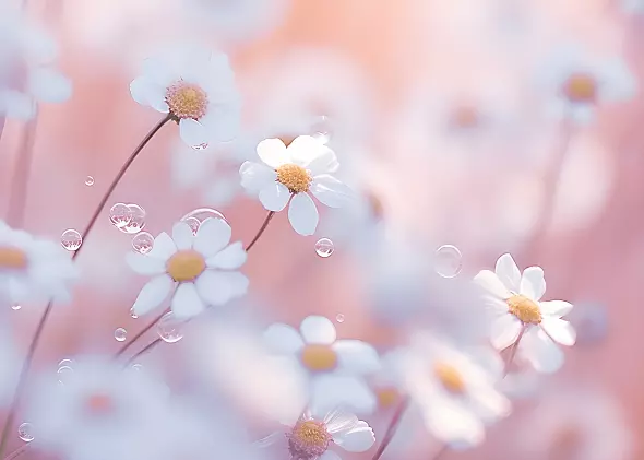10 Poems Of Love