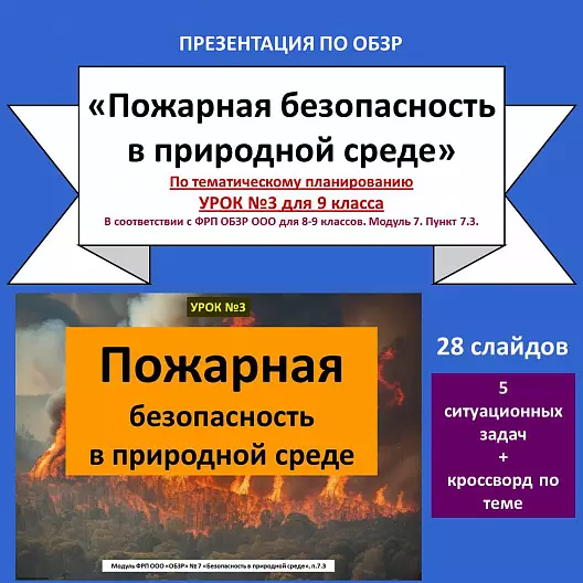 Презентация по ОБЗР «Пожарная безопасность в природной среде»