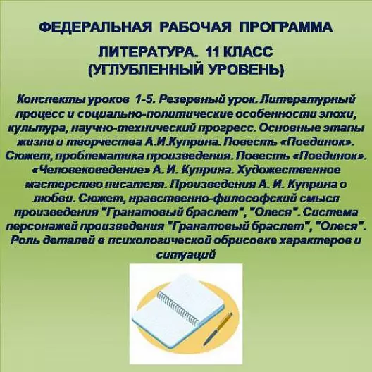 Литература 11 класс (углубленный уровень). Конспекты уроков 1-5