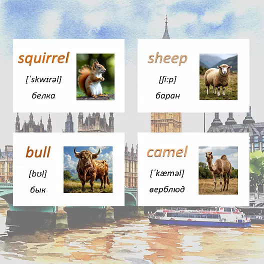 Карточки по английскому языку на тему "My Animals (Мои животные)". С транскрипцией. 55 штук.