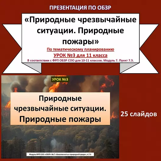 Презентация по ОБЗР «Природные чрезвычайные ситуации. Природные пожары»