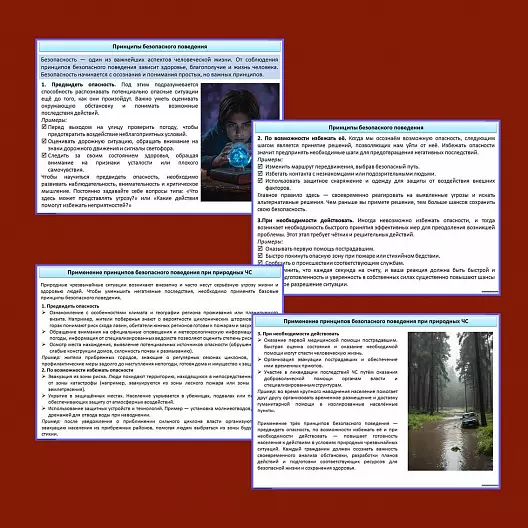 Презентация по ОБЗР «Природные чрезвычайные ситуации. Природные пожары»