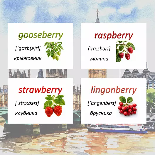 Карточки по английскому языку на тему "Berries (Ягоды)". С транскрипцией. 31 штуки.