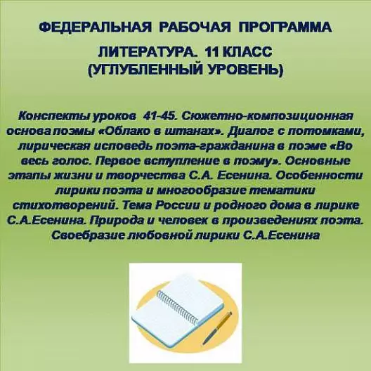 Литература 11 класс (углубленный уровень). Конспекты уроков 41-45