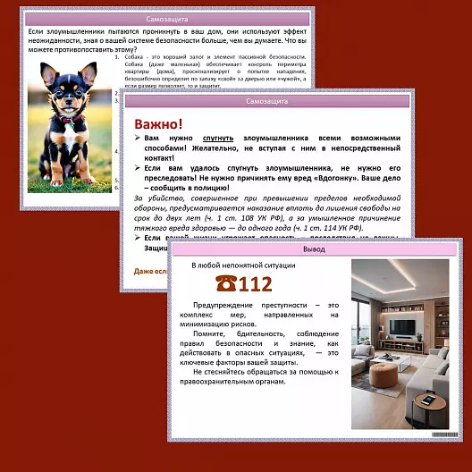 Презентация по ОБЗР «Предупреждение ситуаций криминального характера»