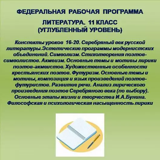 Литература 11 класс (углубленный уровень). Конспекты уроков 16-20