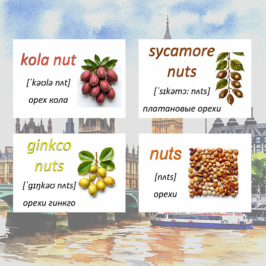 Карточки по английскому языку на тему "Nuts (Орехи)". С транскрипцией. 20 штук.