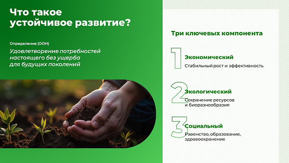 Презентация «Экология. Устойчивое развитие: баланс между экономикой, экологией и социальной сферой»
