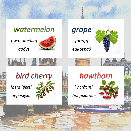 Карточки по английскому языку на тему "Berries (Ягоды)". С транскрипцией. 31 штуки.