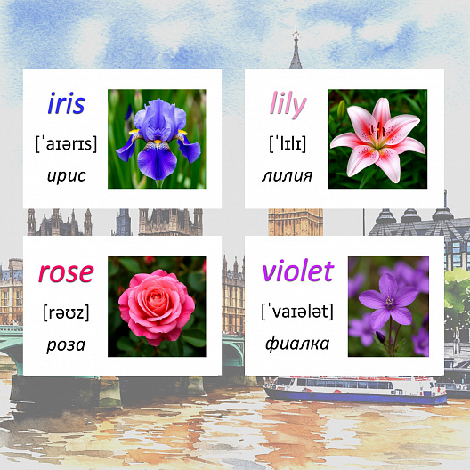 Карточки по английскому языку на тему "Flowers (Цветы)". С транскрипцией. 85 штук.
