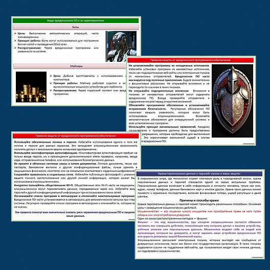Презентация по ОБЗР «Опасности, связанные с использованием программного обеспечения»