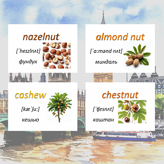 Карточки по английскому языку на тему "Nuts (Орехи)". С транскрипцией. 20 штук.