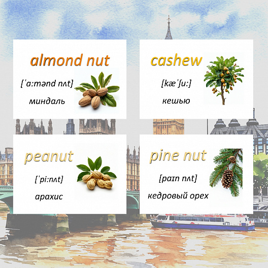 Карточки по английскому языку на тему "Nuts (Орехи)". С транскрипцией. 20 штук.