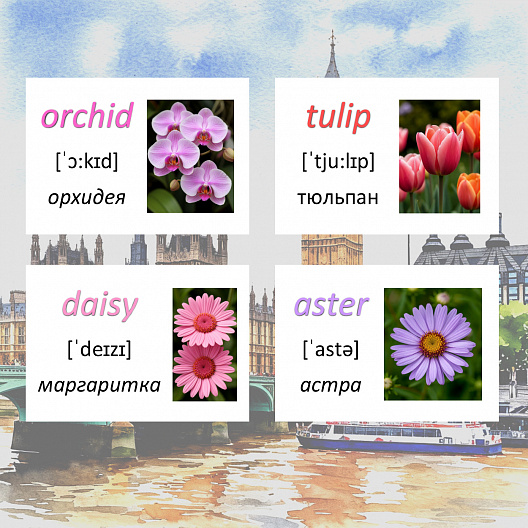 Карточки по английскому языку на тему "Flowers (Цветы)". С транскрипцией. 85 штук.