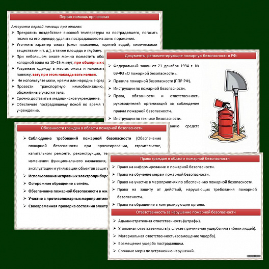 Презентация по ОБЗР «Пожарная безопасность в быту»